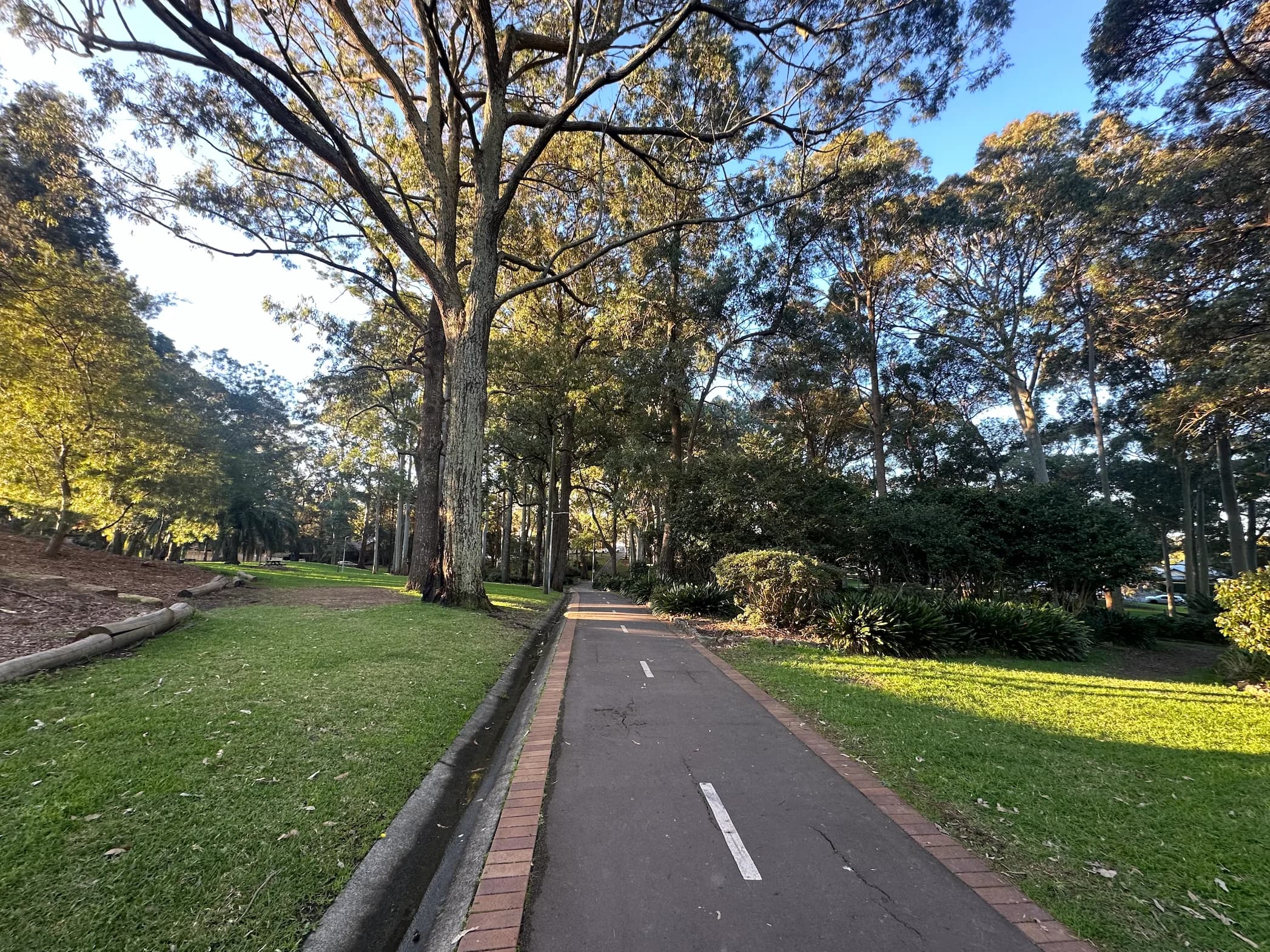 Tree-lined walking and cycling path through Beauchamp Park